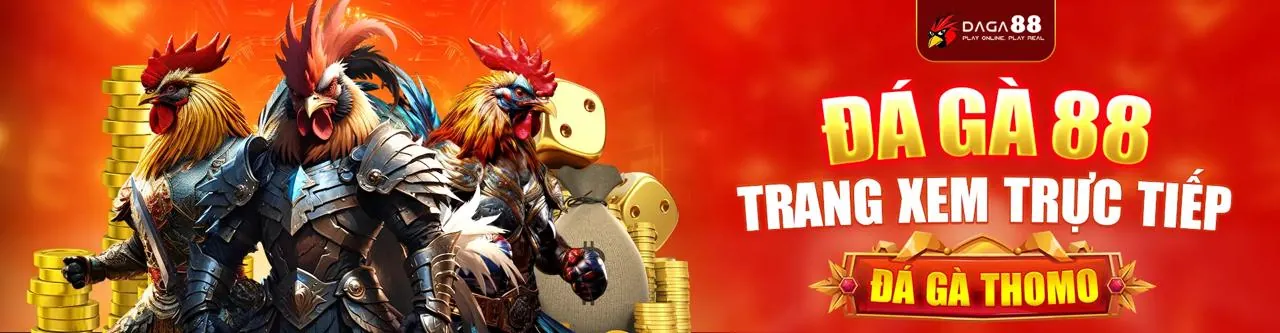 Tổng quan Điều Khoản Dịch Vụ
