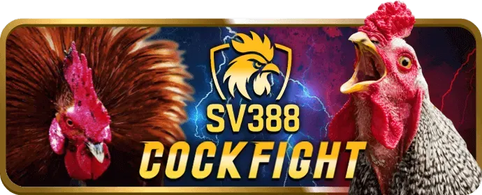 Slot game jackpot lũy tiến với số tiền thưởng khổng lồ